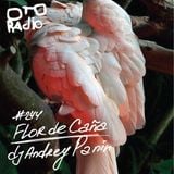 Podcast #244 / Flor de Cana / by dj Andrey Panin