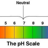 pH