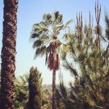 What Is Soul #10 - Summer Breeze Selection
