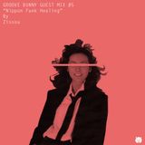 Groove Bunny Guest Mix #5/Nippon Funk Healing Mix 1 by Zissou