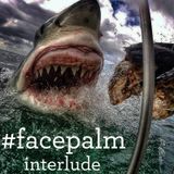 #Facepalm - Interlude