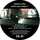 gabriel le mar: what´s your sleeper ?-EP in_the_mix - d2d_001