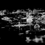 PHM - Pure Bliss (May 2011)