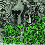 PanamerikaNo202Pastando