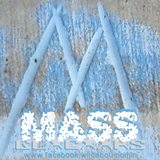 018: GLXCXXRS - mass