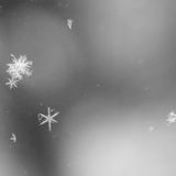 Snowflake Sounds 2011