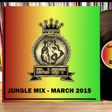 DJ QT - JUNGLE MIX MARCH 2015