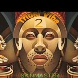 DJ SPINMASTER - Tribal Vibe 2