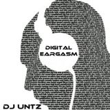 VA - Digital Eargasm 009