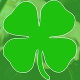 2FM Late Night Sessions - All Irish Special - March 2016