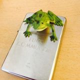 Audio Antihero's "Ribbit Ribbit / Frog Communism" Radio