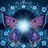 Butterfly Effect