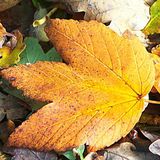 Autumn 2012 - Mix 2012