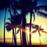 Beach Party