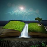 Elements Of Life