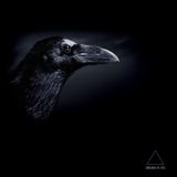 MENTAL PATH mx002: Obs.Cur Records