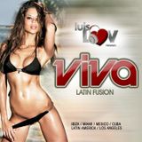 DJ LUIS LUV PRESENTS- VIVA: LATIN FUSION