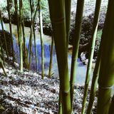 URBAN FORESt #miXtape 034 - NAtURE