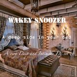 Wakey Snoozer - A deep side in your bed Dj Set