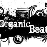 Organic Beats Party Hip Hop Mix from 2001