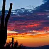 In love with the desert#2