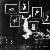 Trip