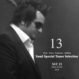 Saad's Special Tunes Selection - SST 13 - May & June 2014