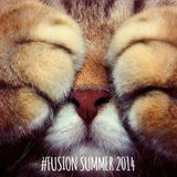 Fusion 2014 Summer Tracks by Dixon, Riva Starr, Clockwork, Chasing Kurt, Hercules & Love Affair