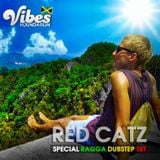 VIBEZ FOUNDATION 3
