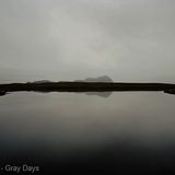 Olivetonic - Gray Day