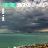 Spring Awake Session
