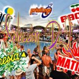 Selección DJ - Discotecas IBIZA (2013)