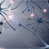 Neuronengesellschaft