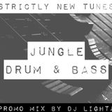Strictly Promos & Dubs. Mixed By Dj Lighta. 2014
