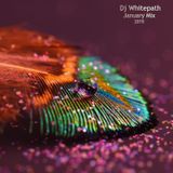 DJ Whitepath - February Mix (2015)