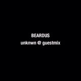unknwn guest mix