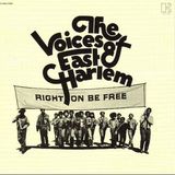 The Jazz Pit Vol 2 : No. 17