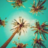 Tropical Beats 2015 Rewind - Cal Jader Up In Tha Place