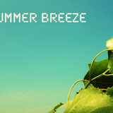 Summer Breeze