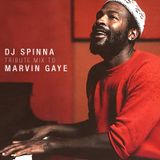 DJ Spinna Happy Birthday Marvin #1
