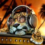FUEGO ASTRAL MIX - JAMAICAREGGAE