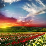 * Relaxing Chillout Sesion Music Night (2014210) *