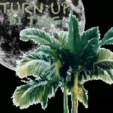 11.18.2014: TRoutski - TURN UP DI TING ~ Warm-up Mix