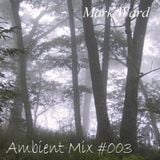 Ambient Mix #003