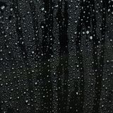 Rain Drops