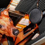 Charles McThorn presents "Music From The Vault" Episode 15