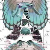 ERRLD PRESENTS:TINY-AMP VS THE LITERARY UNDERGROUND: SSSHHEEE EP DEBUT AND INTERVIEW