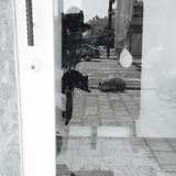 泥棒LIVE MIX_SINSEN
