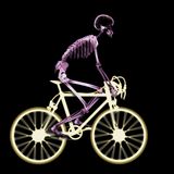 the cyclist