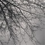 Mystic Trip - December Mix (2012)